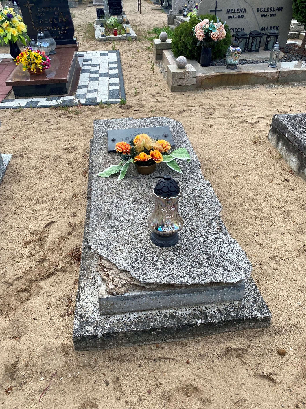 Grób Józef Trzciński